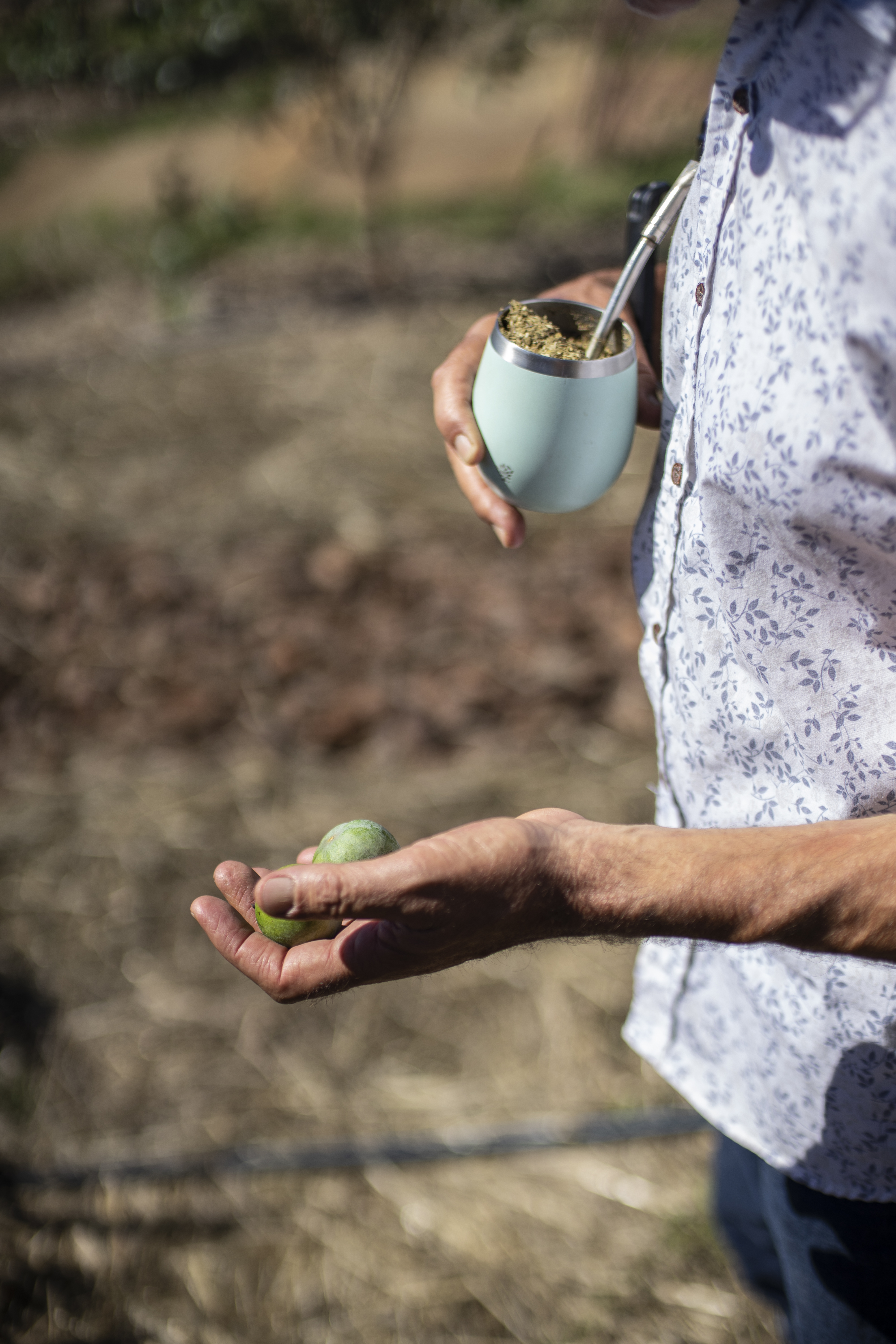 Junto a los ciclos
de la naturaleza