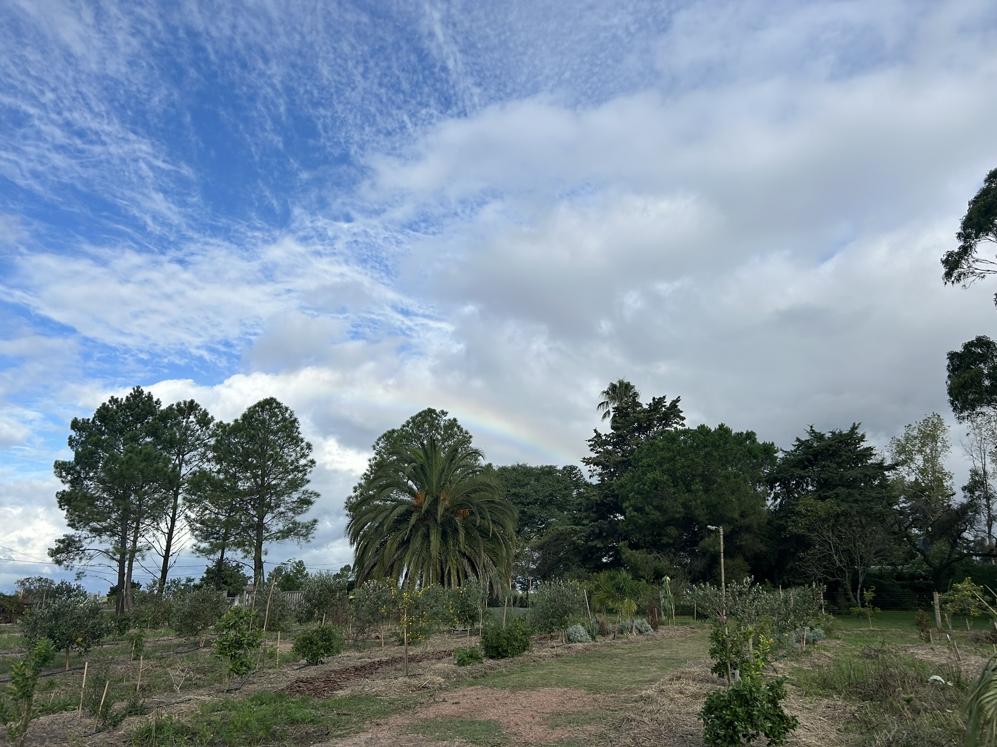 Naturaleza 4
