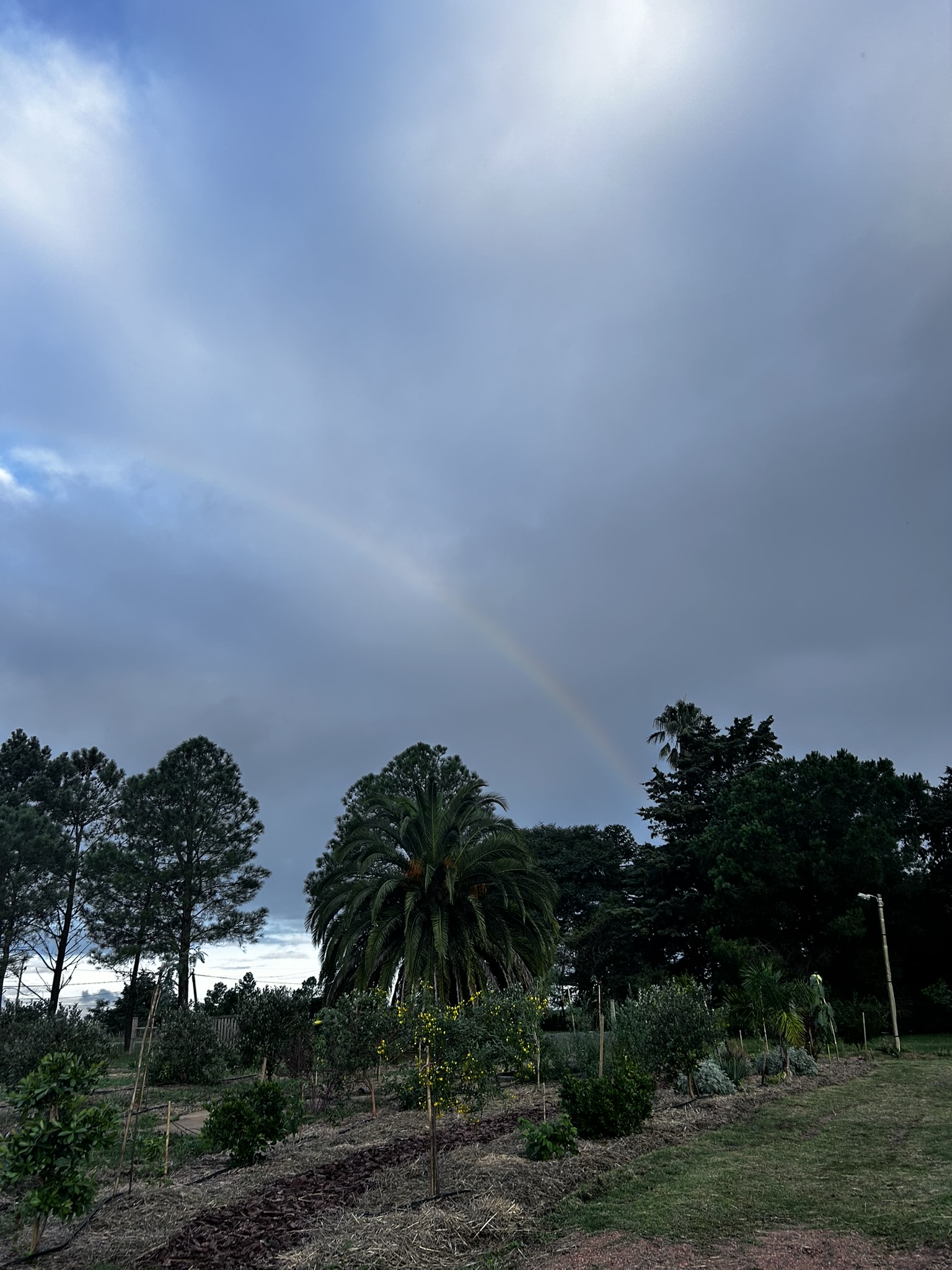 Naturaleza 5